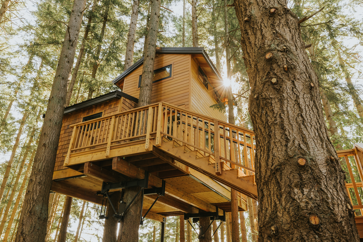The 13-156Storey Treehouse ツリーハウス THE 156-STOREY TREEHOUSE: Andy Griffiths: 9781529088601